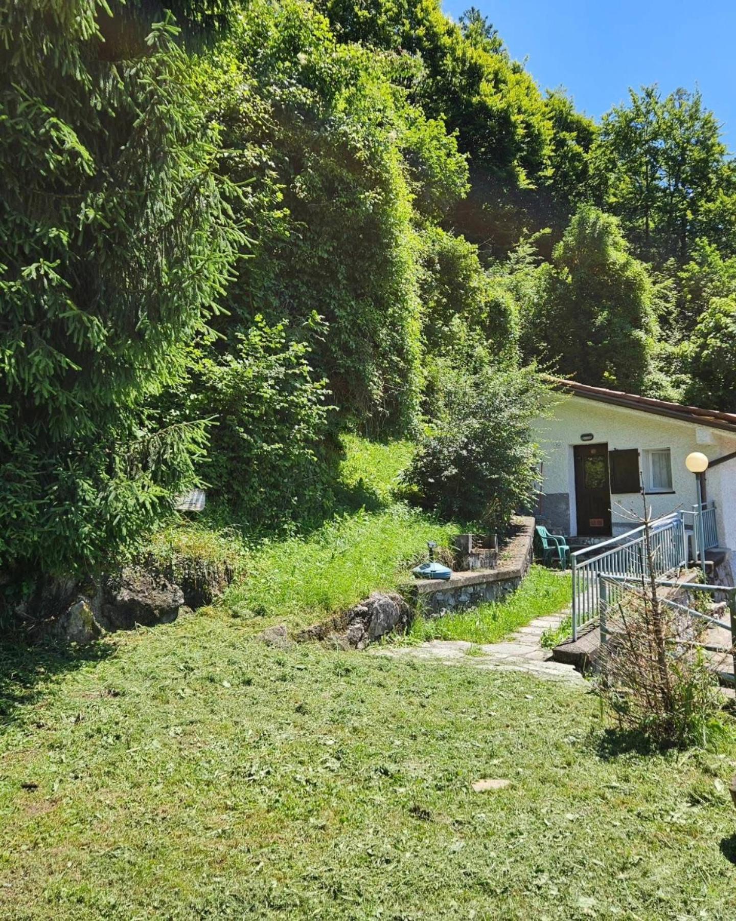 La Casa Del Lupo